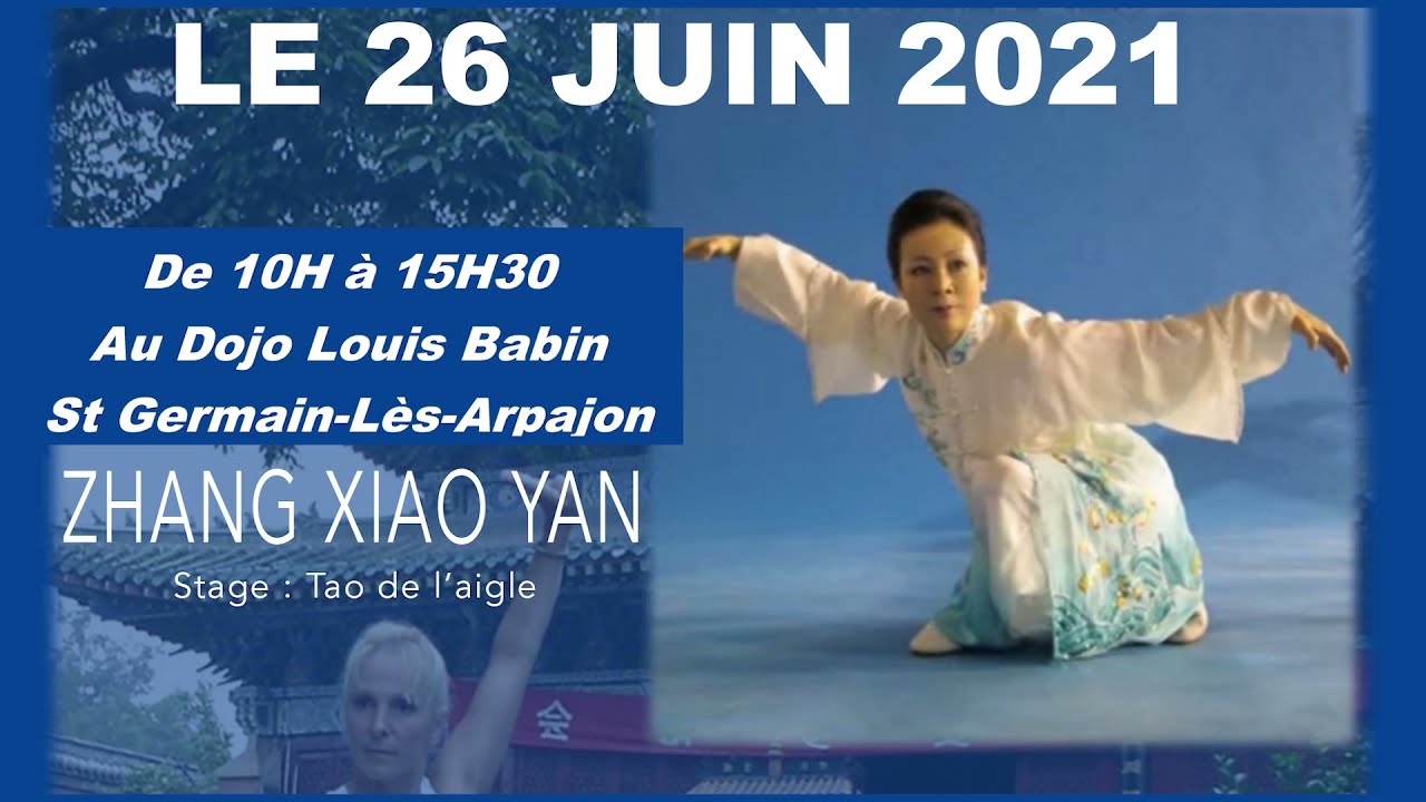 stage du maitre zhang xiao yan